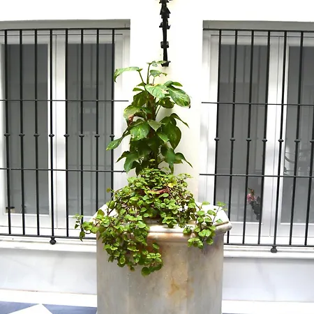 Apartamento La Casa Del Reloj Cádiz