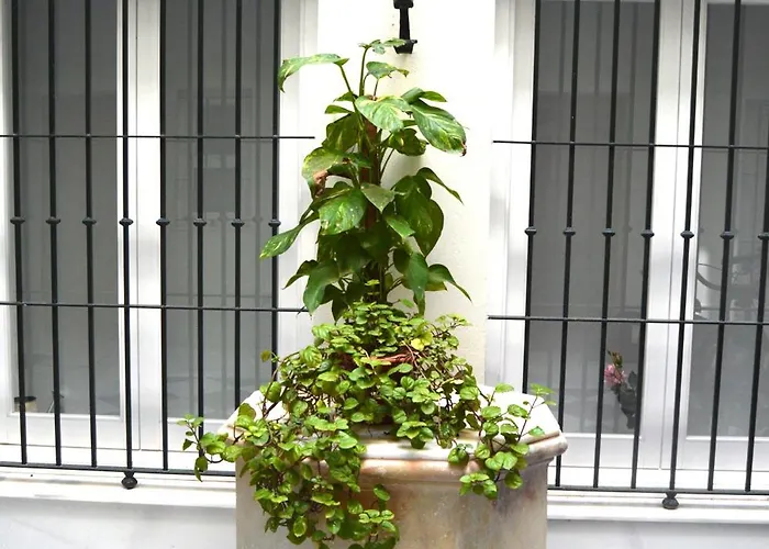 Apartamento La Casa Del Reloj Cádis